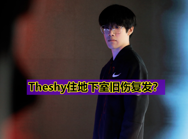 TheShy精彩发挥结果意外的简单介绍|完美真人